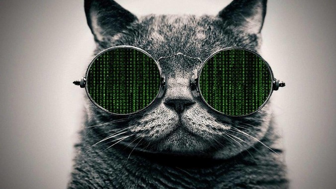  Caddy 和 Nginx 比有哪些优点和缺点？